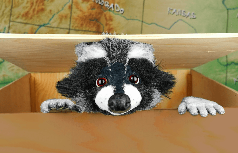 Ein Spielzeug-Waschbär schaut mit Kopf und Pfoten aus einer Holzkiste heraus.