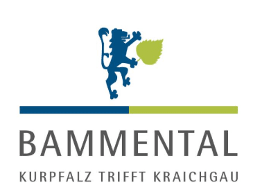 Musikverein Feuerwehrkapelle Bammental e.V.